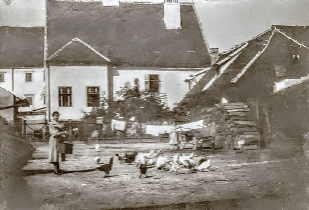 Kaptol 1897. godine. Dvorište kbr. 24 A